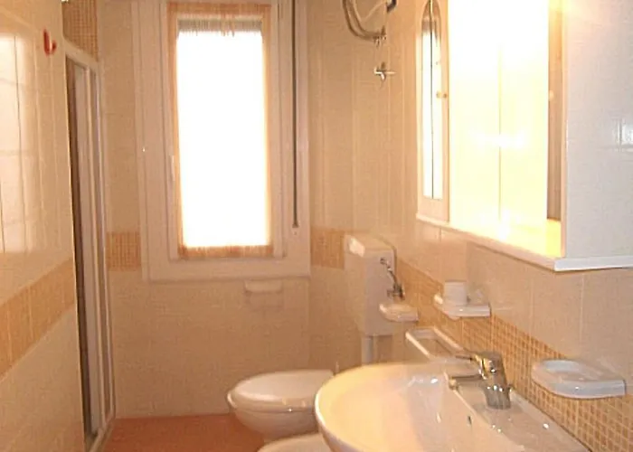 Silvida * ביביונה