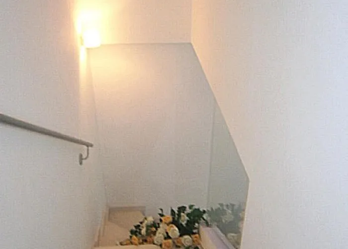 Silvida ביביונה